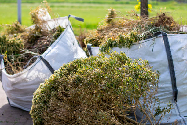 Best Shed Removal  in Indian Hills, TX